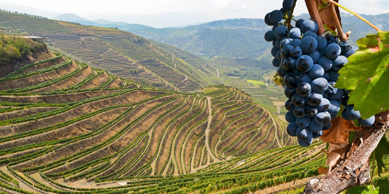 local-wine-portugal.jpg
