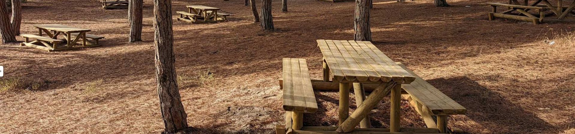 Visit aroeira portugal