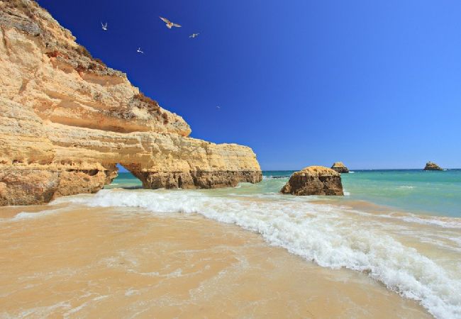 Villa en Quarteira - Villa Adelaide Villa en Quarteira - Villa Adelaide