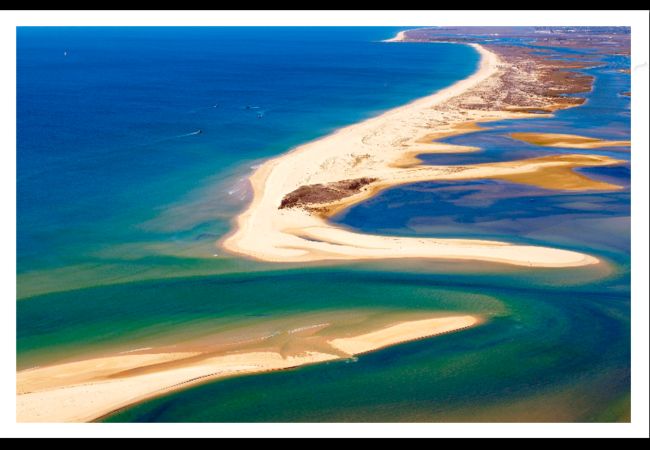 Villa en Olhão - Quinta da Alfazema Villa en Olhão - Quinta da Alfazema