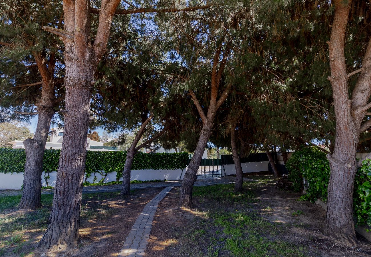 Villa en Albufeira - Villa Alice
