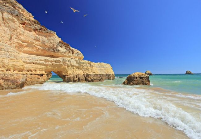 Villa en Almancil - Villa Misofia Villa en Almancil - Villa Misofia