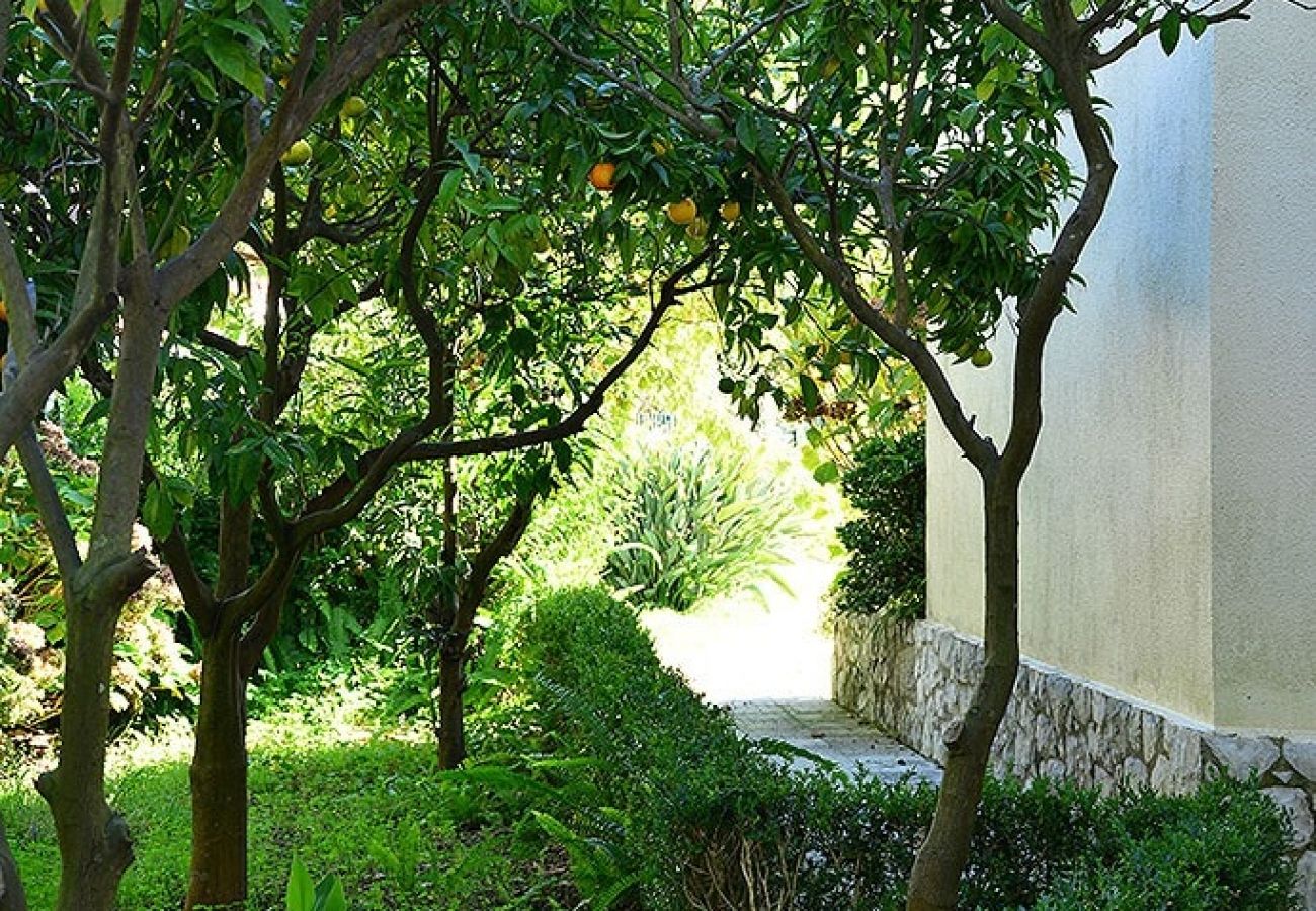 Villa en Verdizela - Villa Verdizela II