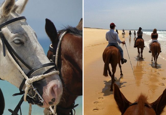 Villa en Península de Tróia - Villa Melissa Villa en Península de Tróia - Villa Melissa