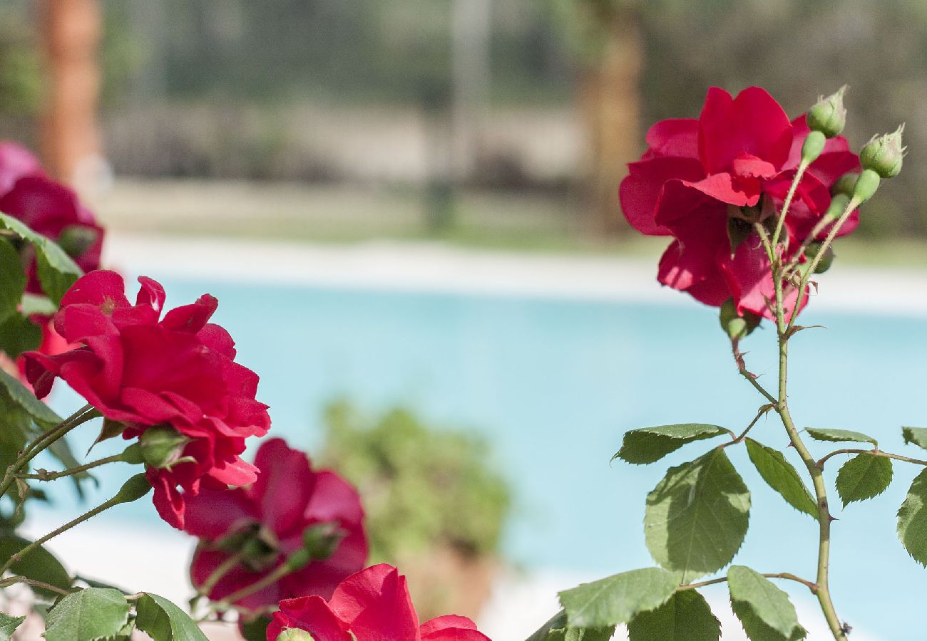 Villa en Herdade da Aroeira - Villa Gerbera