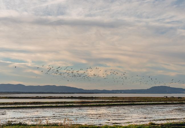 Villa en Comporta - Villa Tommy - NEW! Villa en Comporta - Villa Tommy - NEW!