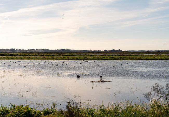 Villa en Comporta - Villa Tommy - NEW! Villa en Comporta - Villa Tommy - NEW!