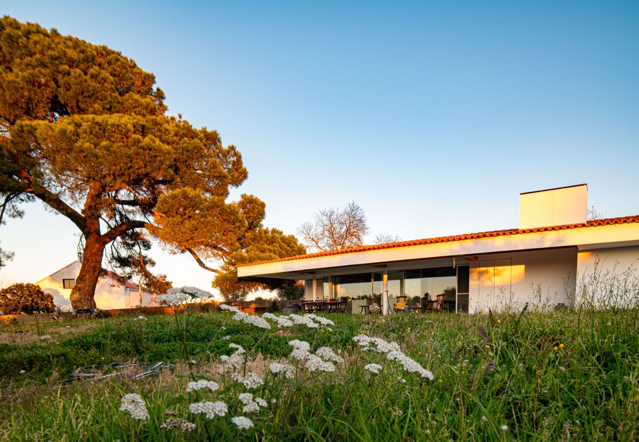 Casa en Melides - Villa do Pinheiro - NEW!