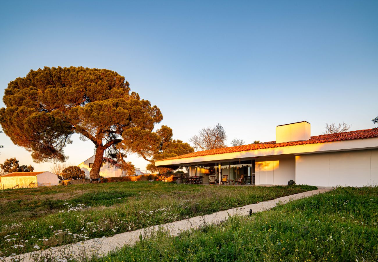 Casa en Melides - Villa do Pinheiro - NEW!