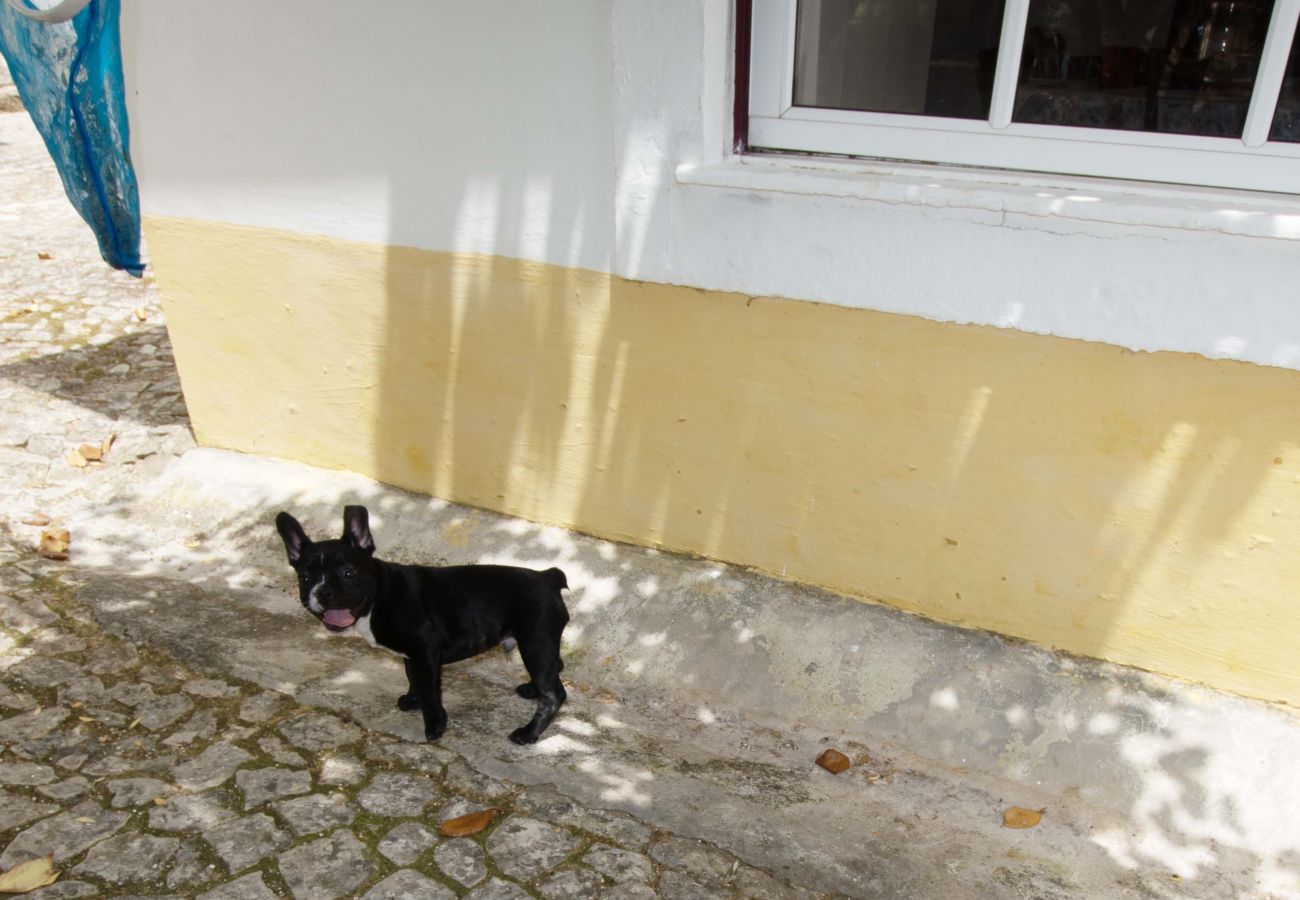 Casa rural en Leiria - Quinta da Capela
