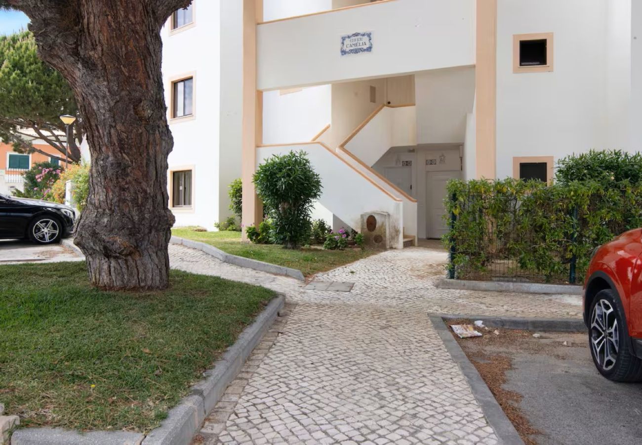 Apartamento en Albufeira - Apartment Jardins da Falésia