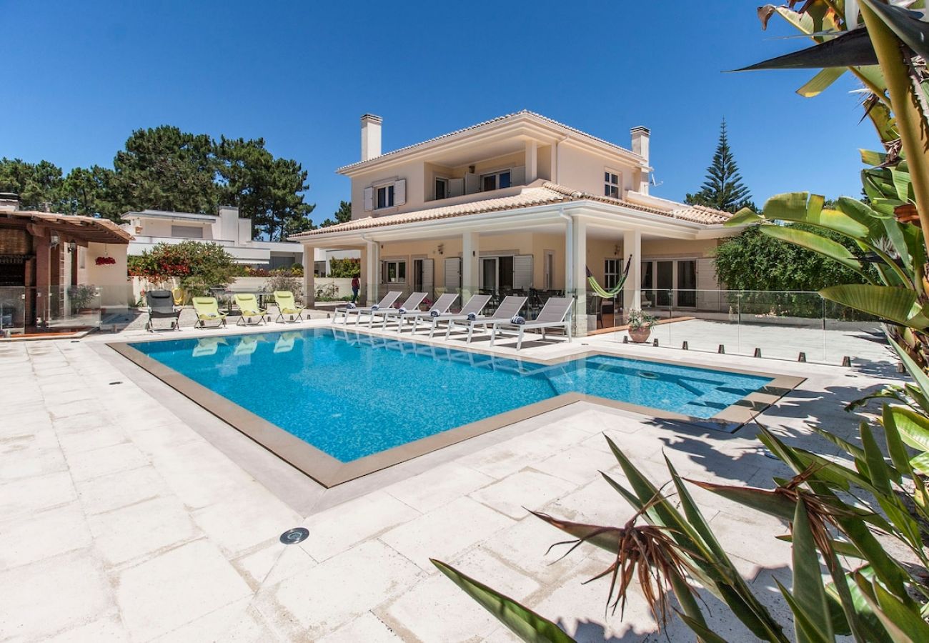 Villa à Verdizela - Villa Amendoa