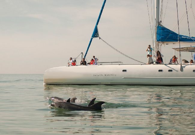Villa à Península de Tróia - Villa Aurea Comporta Villa à Península de Tróia - Villa Aurea Comporta