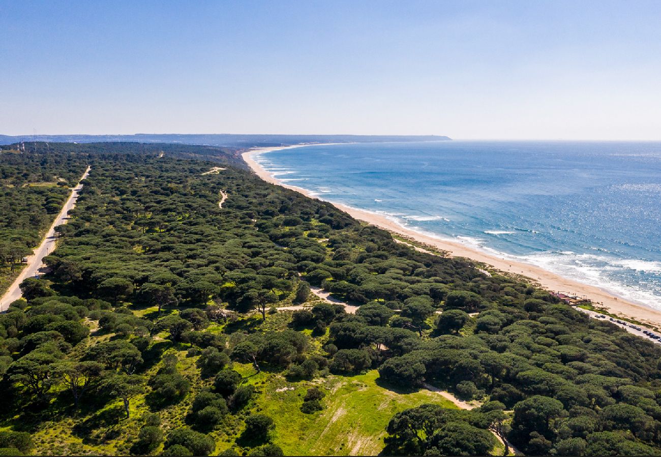 Villa à Lagoa de Albufeira - Villa das Dunas