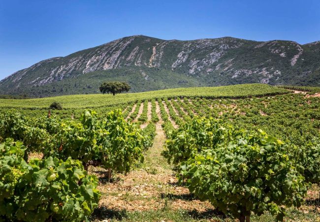 Villa à Azeitão - Quinta do Peru I Villa à Azeitão - Quinta do Peru I