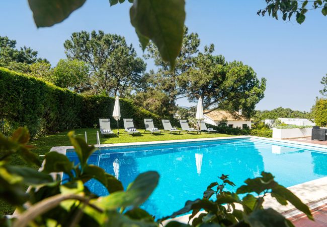 Villa à Península de Tróia - Villa Yara Villa à Península de Tróia - Villa Yara