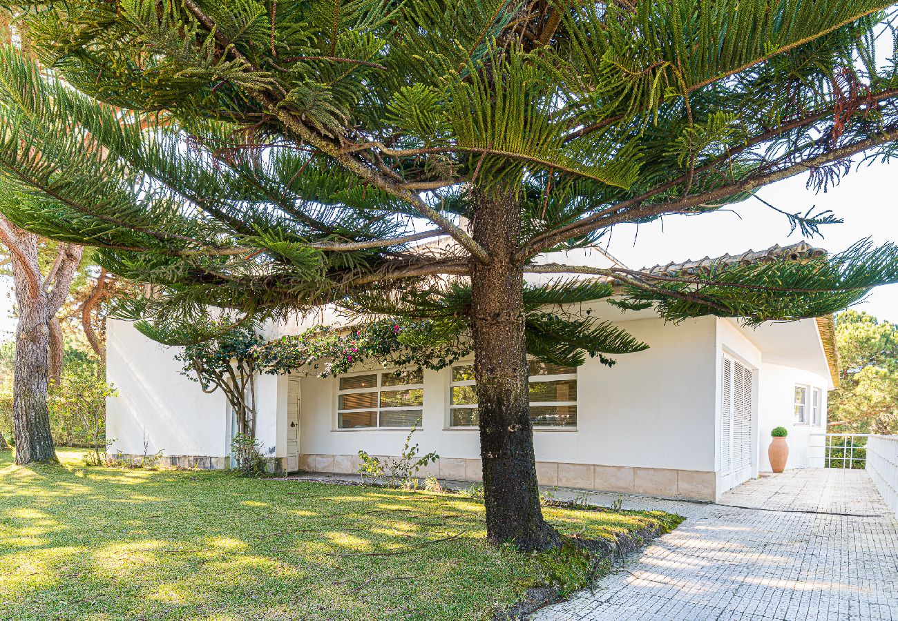 Villa à Península de Tróia - Villa Yara