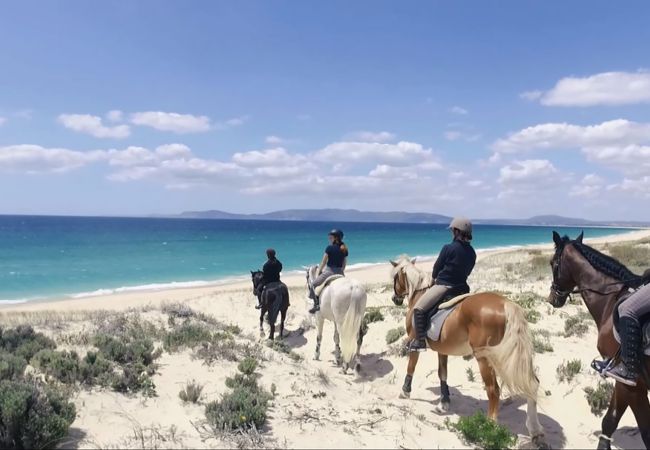 Villa à Comporta - Villa Tommy - NEW! Villa à Comporta - Villa Tommy - NEW!