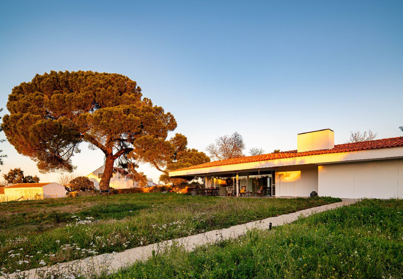 Villa à Melides - Villa do Pinheiro