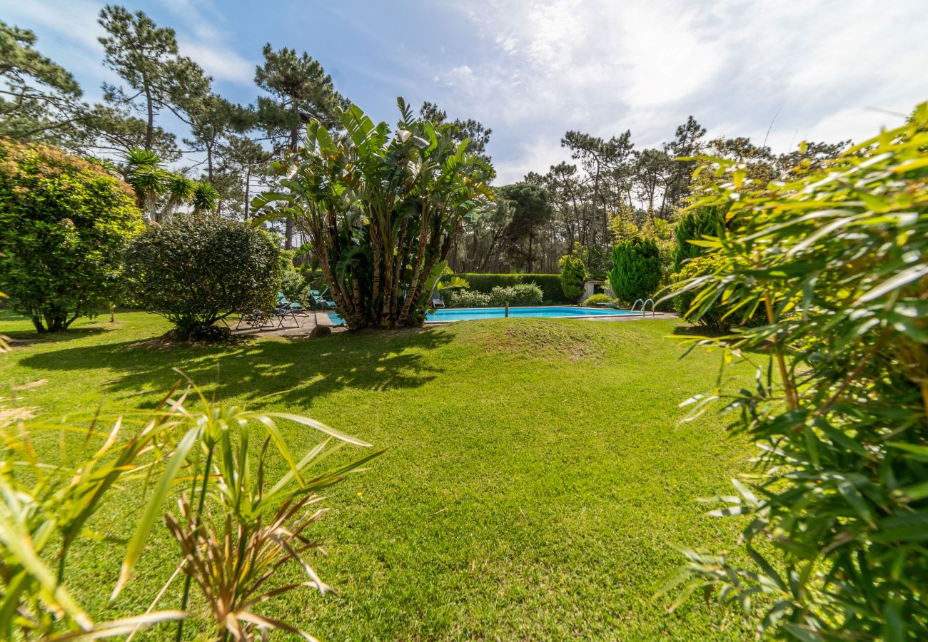 Villa à Colares - Villa Miragem - NEW!