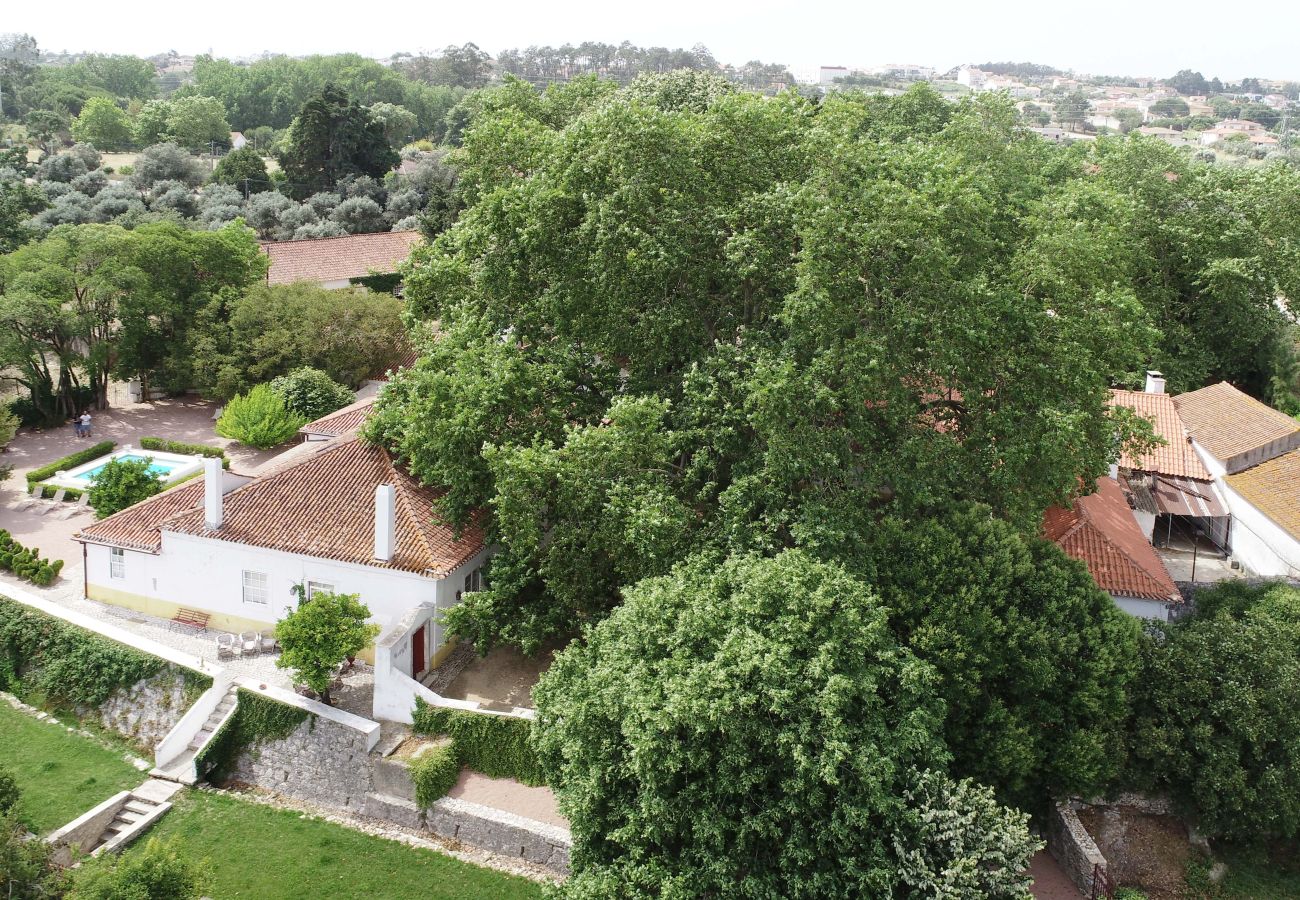 Gîte Rural à Leiria - Quinta da Capela