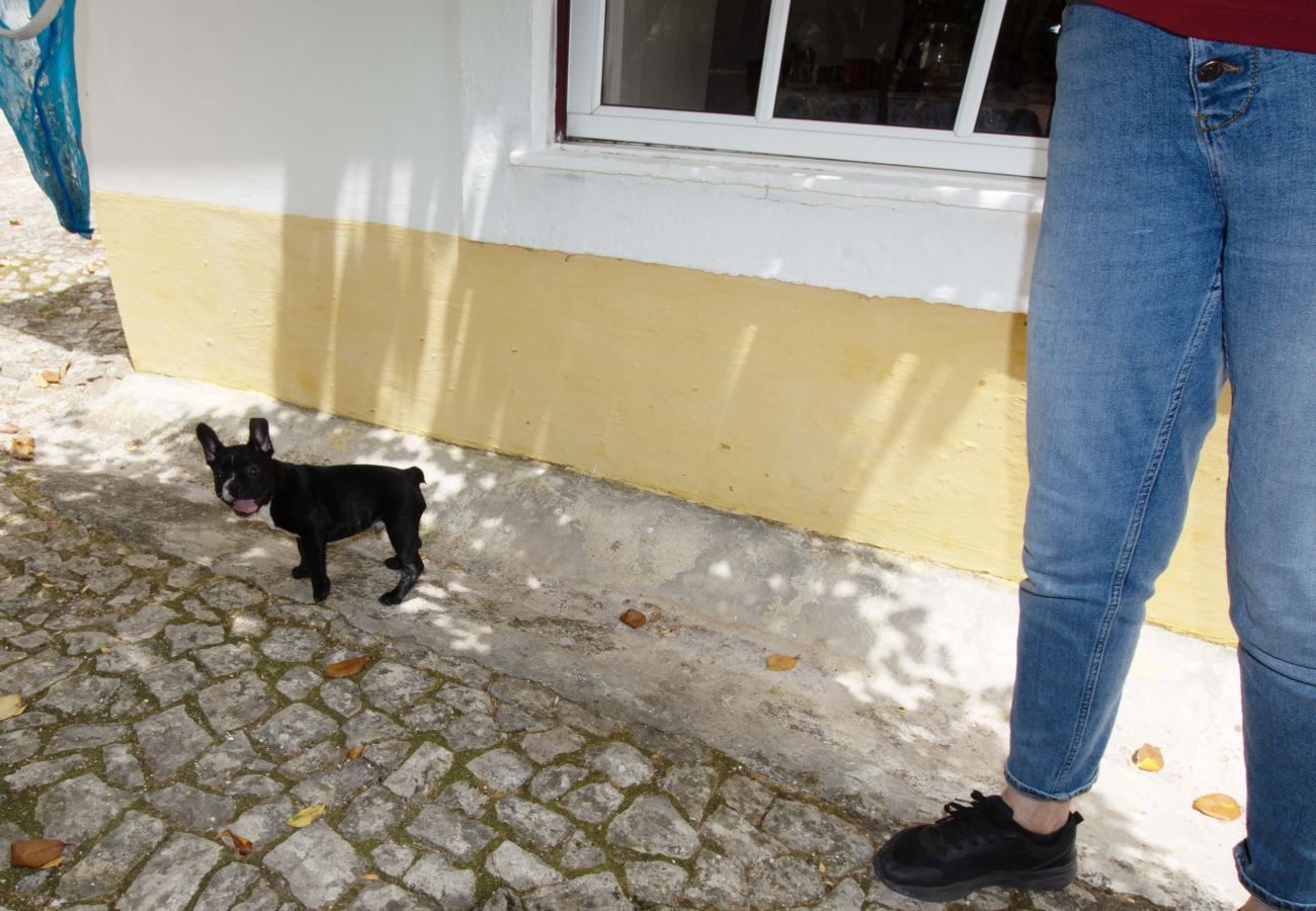 Gîte Rural à Leiria - Quinta da Capela
