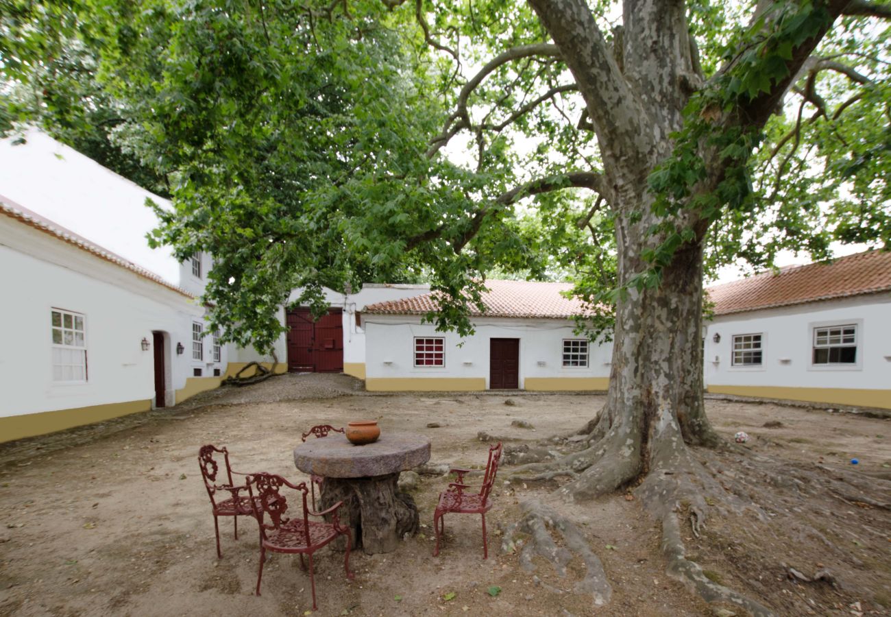 Gîte Rural à Leiria - Quinta da Capela