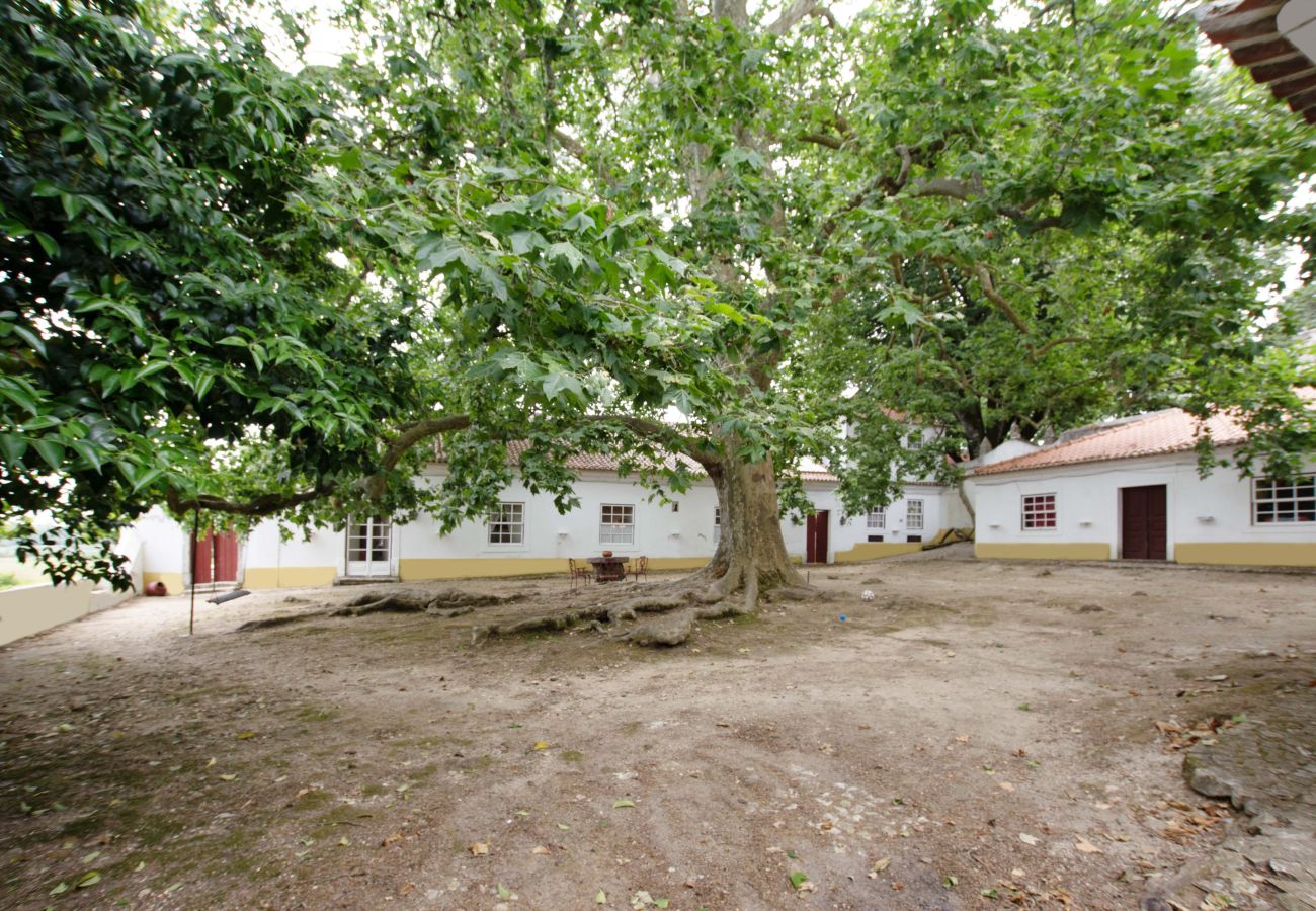 Gîte Rural à Leiria - Quinta da Capela
