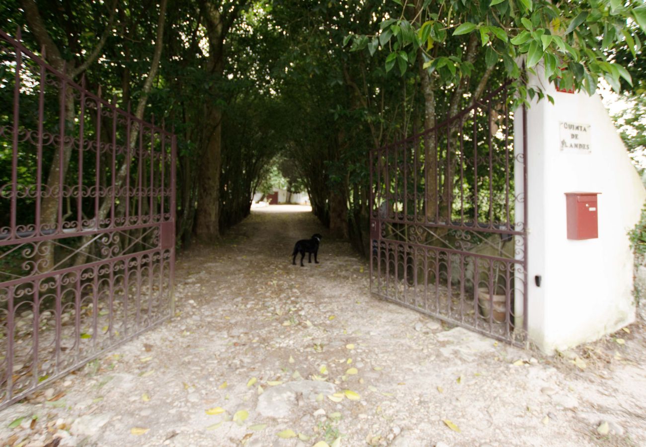Gîte Rural à Leiria - Quinta da Capela