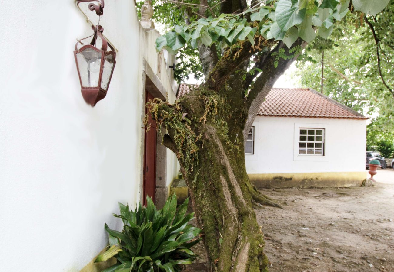 Gîte Rural à Leiria - Quinta da Capela