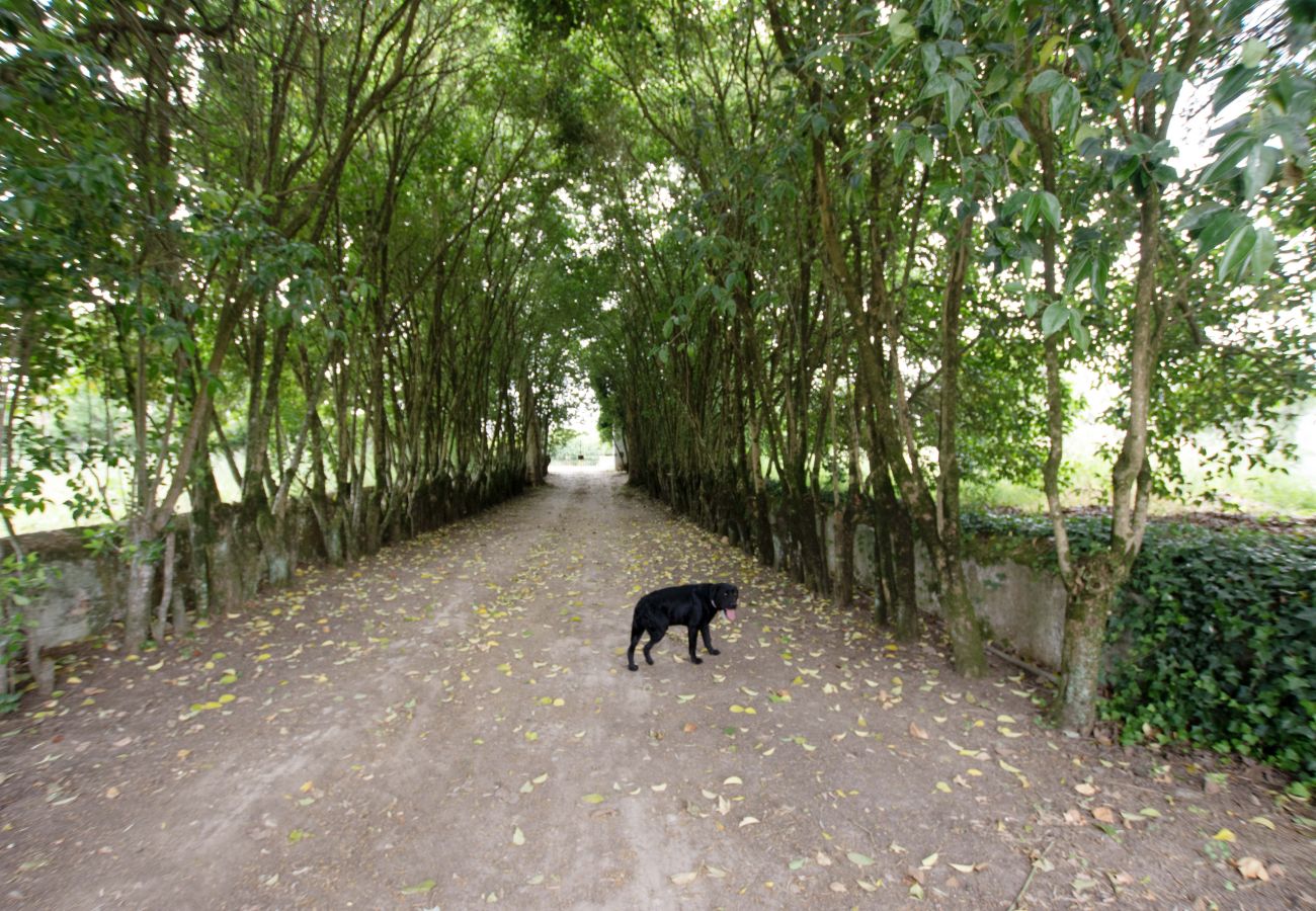 Gîte Rural à Leiria - Quinta da Capela