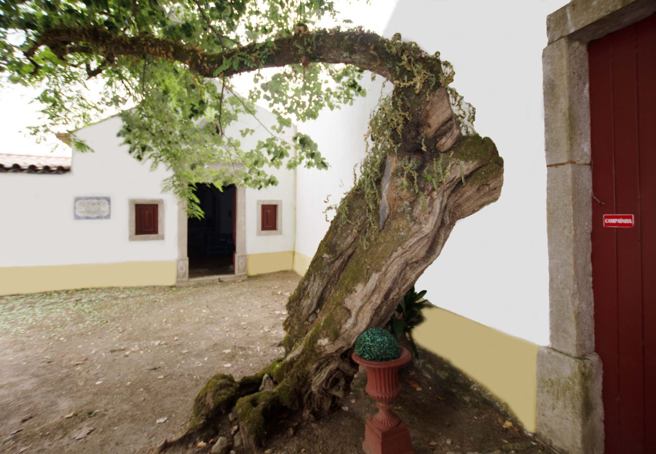 Gîte Rural à Leiria - Quinta da Capela