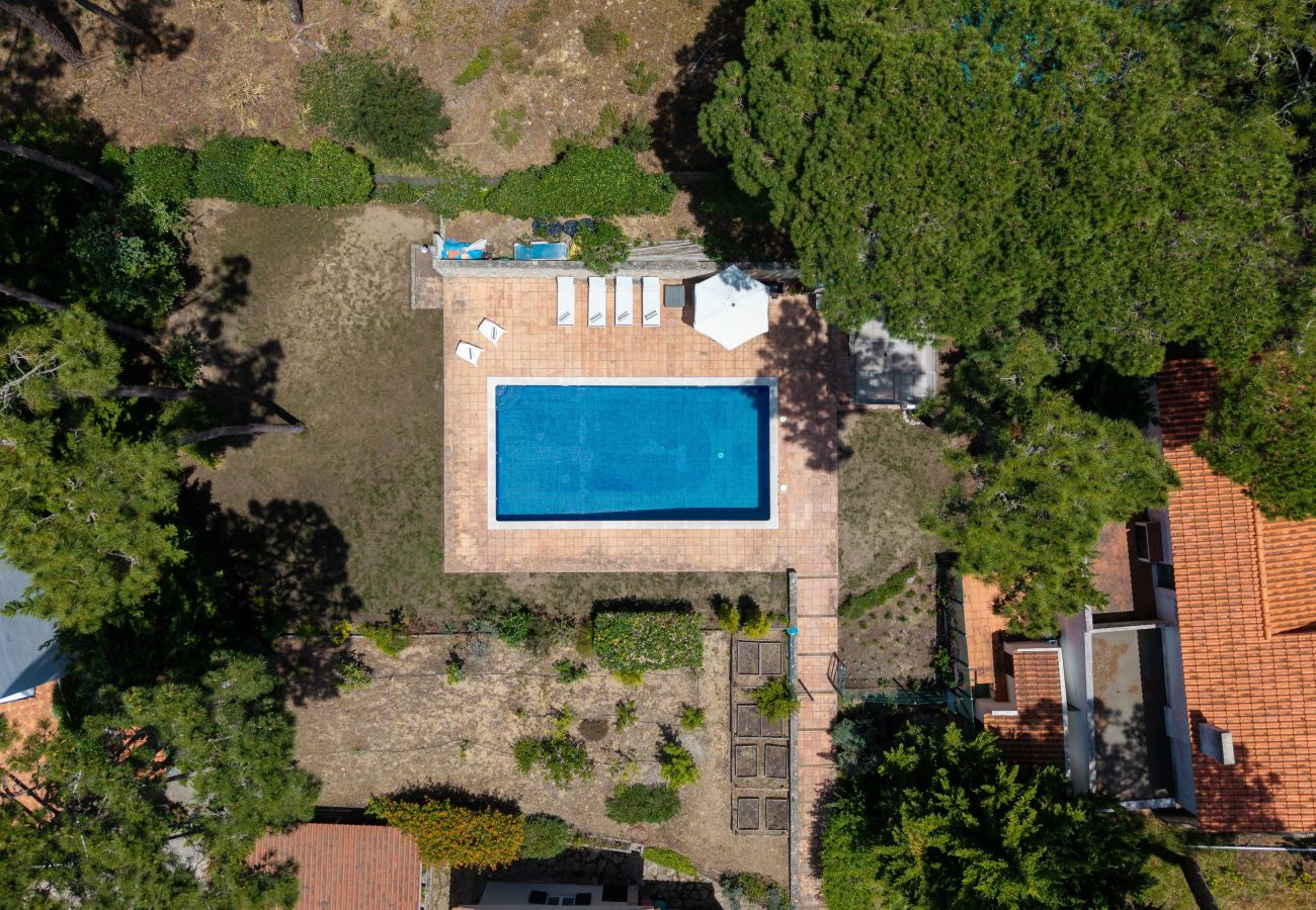 Villa à Sintra - Villa Natura