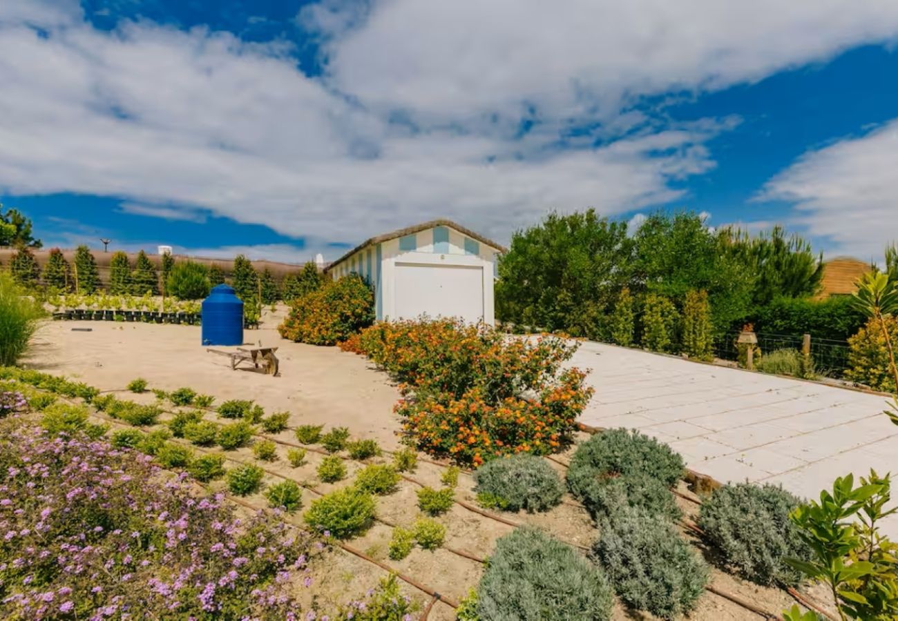 Villa à Carvalhal - Villa Lavanda - NEW!