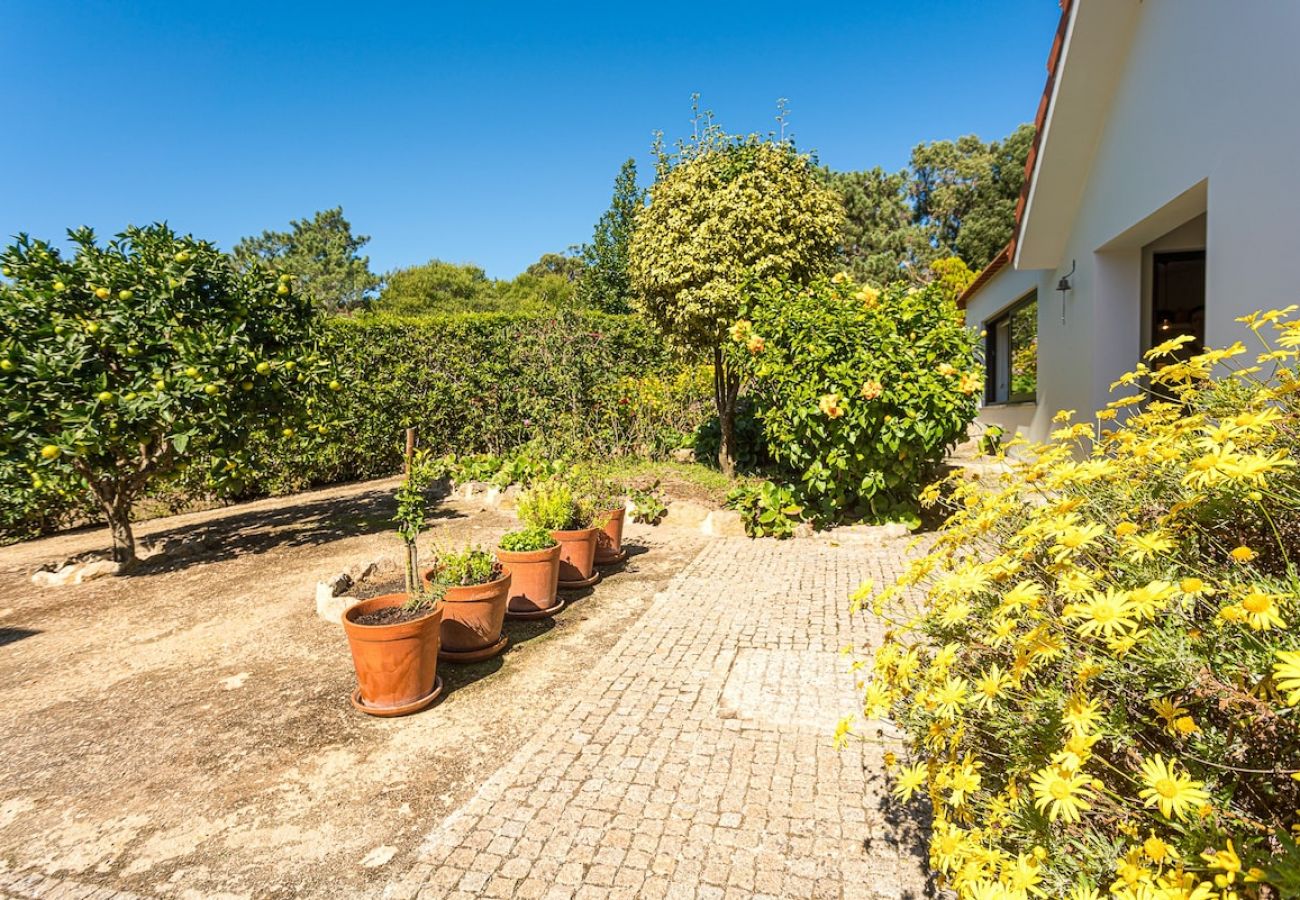 Villa em Sintra - Villa Santamaria