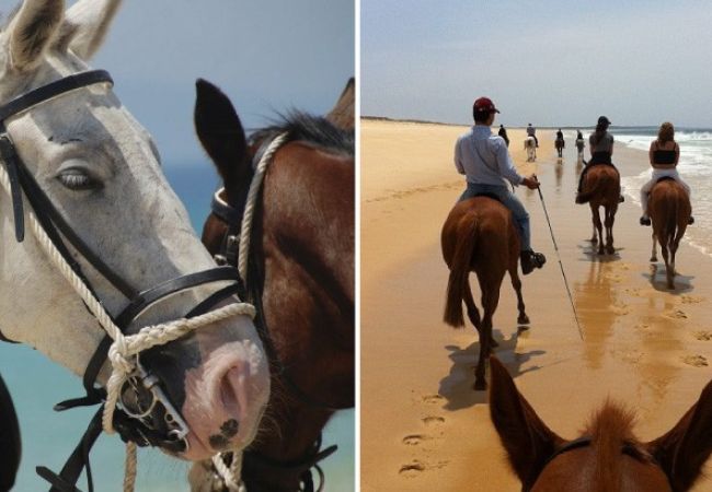 Villa em Península de Tróia - Villa Aurea Comporta Villa em Península de Tróia - Villa Aurea Comporta