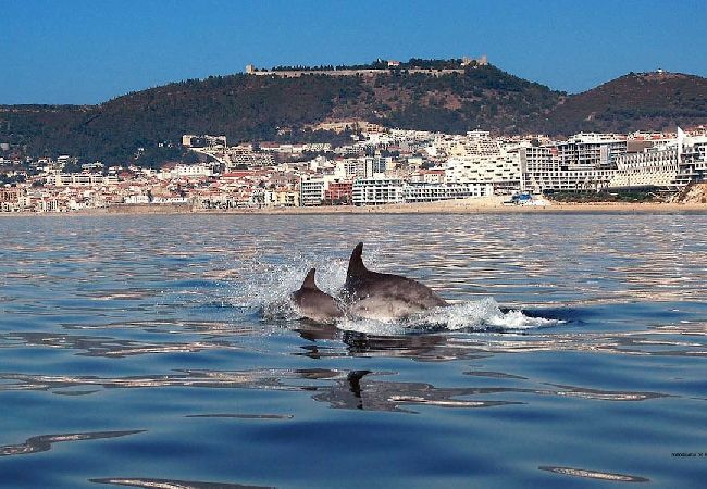 Villa em Aldeia do Meco - Villa Foz Villa em Aldeia do Meco - Villa Foz