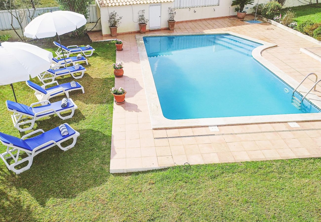 Villa em Azeitão - Villa Alegre