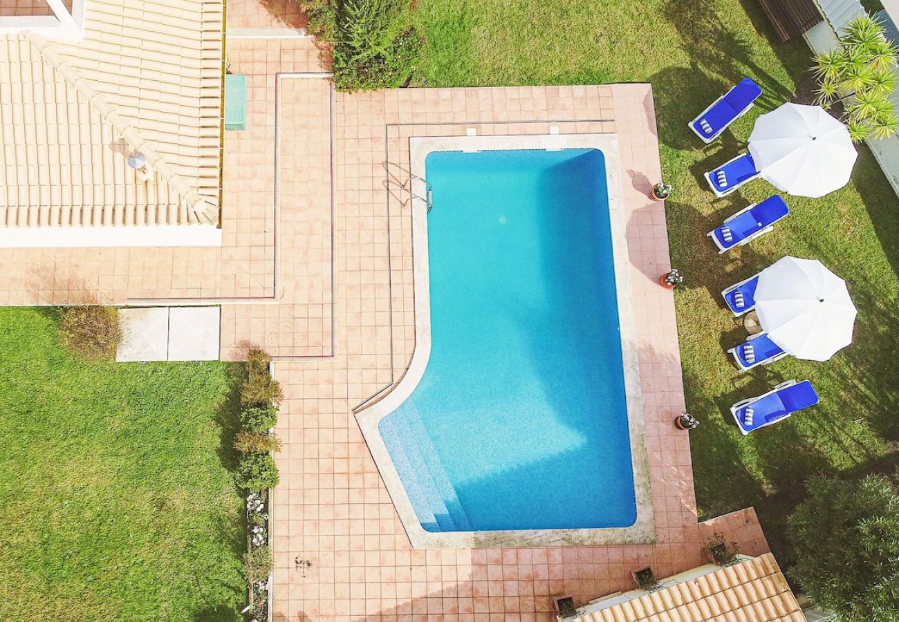 Villa em Azeitão - Villa Alegre