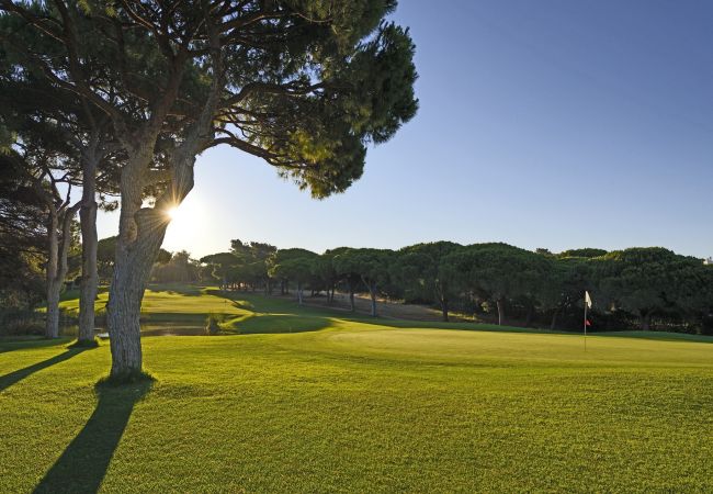 Villa em Almancil - Villa Misofia Villa em Almancil - Villa Misofia