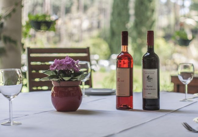 Villa em Herdade da Aroeira - Villa do Cisne Villa em Herdade da Aroeira - Villa do Cisne