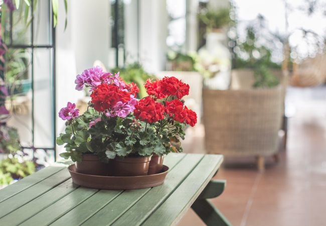 Villa em Herdade da Aroeira - Villa do Cisne Villa em Herdade da Aroeira - Villa do Cisne