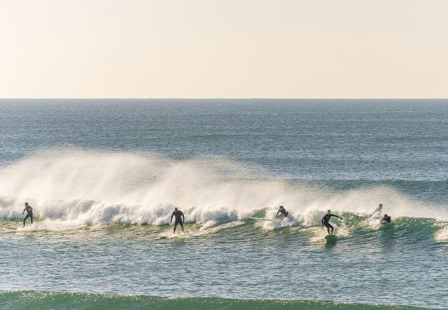 Villa em Herdade da Aroeira - Villa do Cisne Villa em Herdade da Aroeira - Villa do Cisne