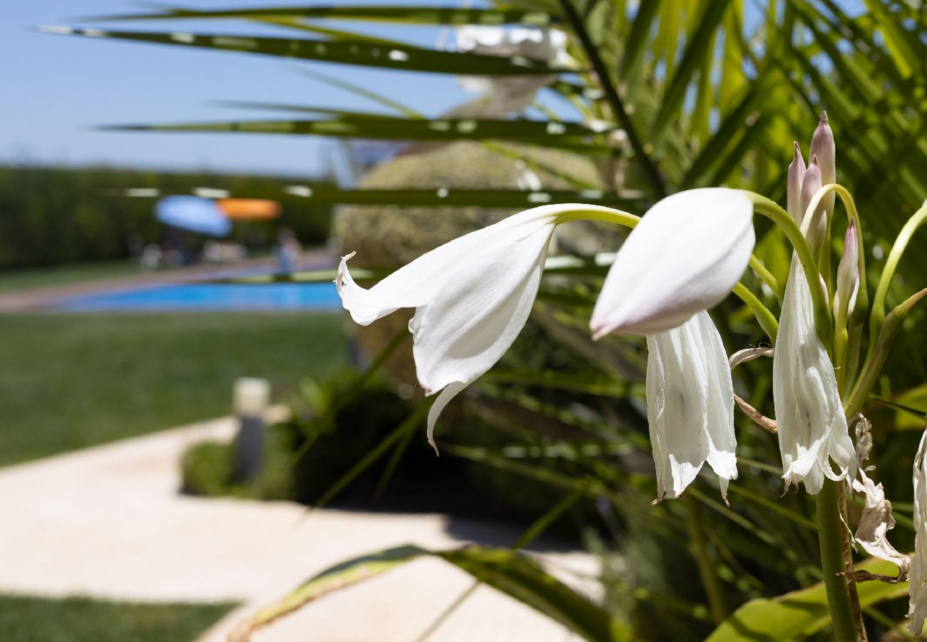 Casa geminada em Sagres - Villa Blue Sagres D