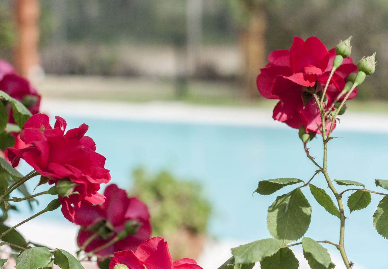 Villa em Herdade da Aroeira - Villa Gerbera