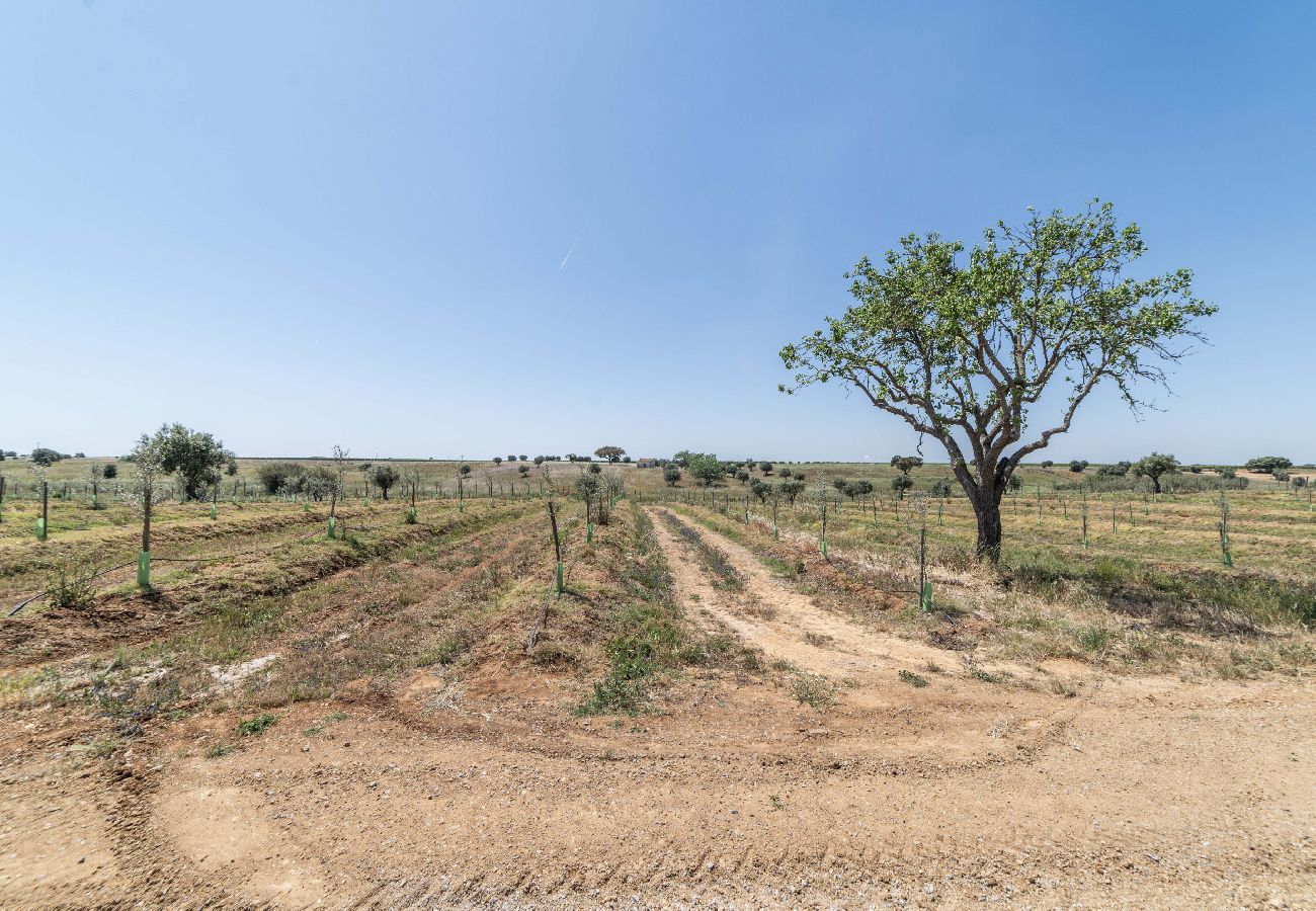 Villa em Ferreira do Alentejo - Monte do Vale
