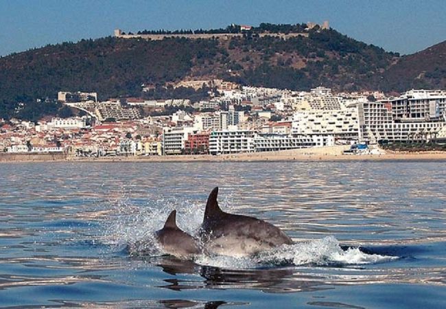 Villa em Aldeia do Meco - Villa Bahia Villa em Aldeia do Meco - Villa Bahia