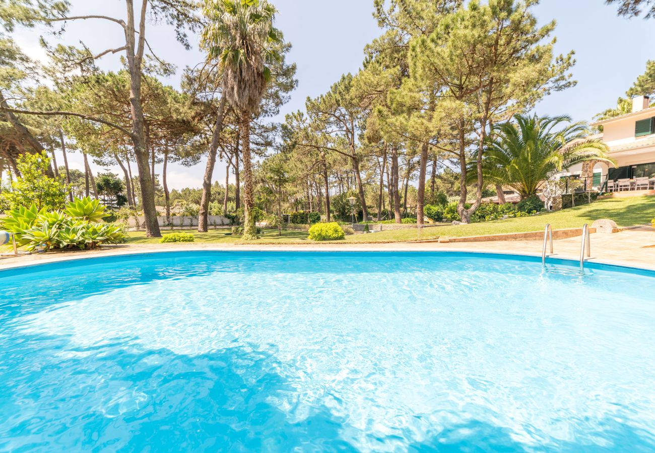 Villa em Sintra - Villa Pine Nature