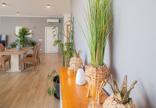 Villa em Comporta - Villa Tommy - NEW! Villa em Comporta - Villa Tommy - NEW!