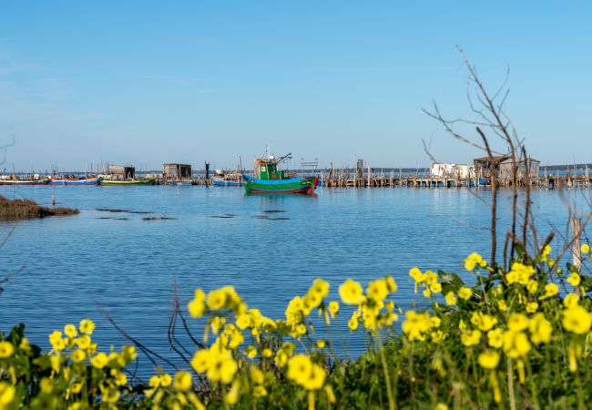 Villa em Comporta - Villa Tommy - NEW! Villa em Comporta - Villa Tommy - NEW!